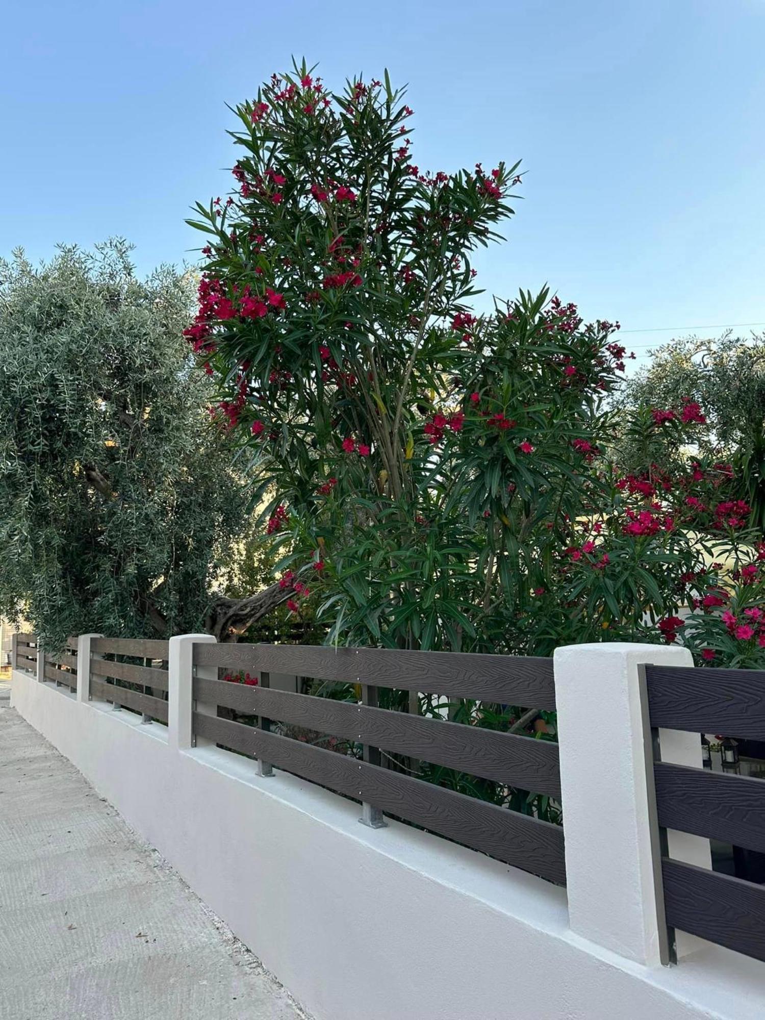 Valia House Thassos Διαμέρισμα Σκάλα Καλλιράχης Εξωτερικό φωτογραφία