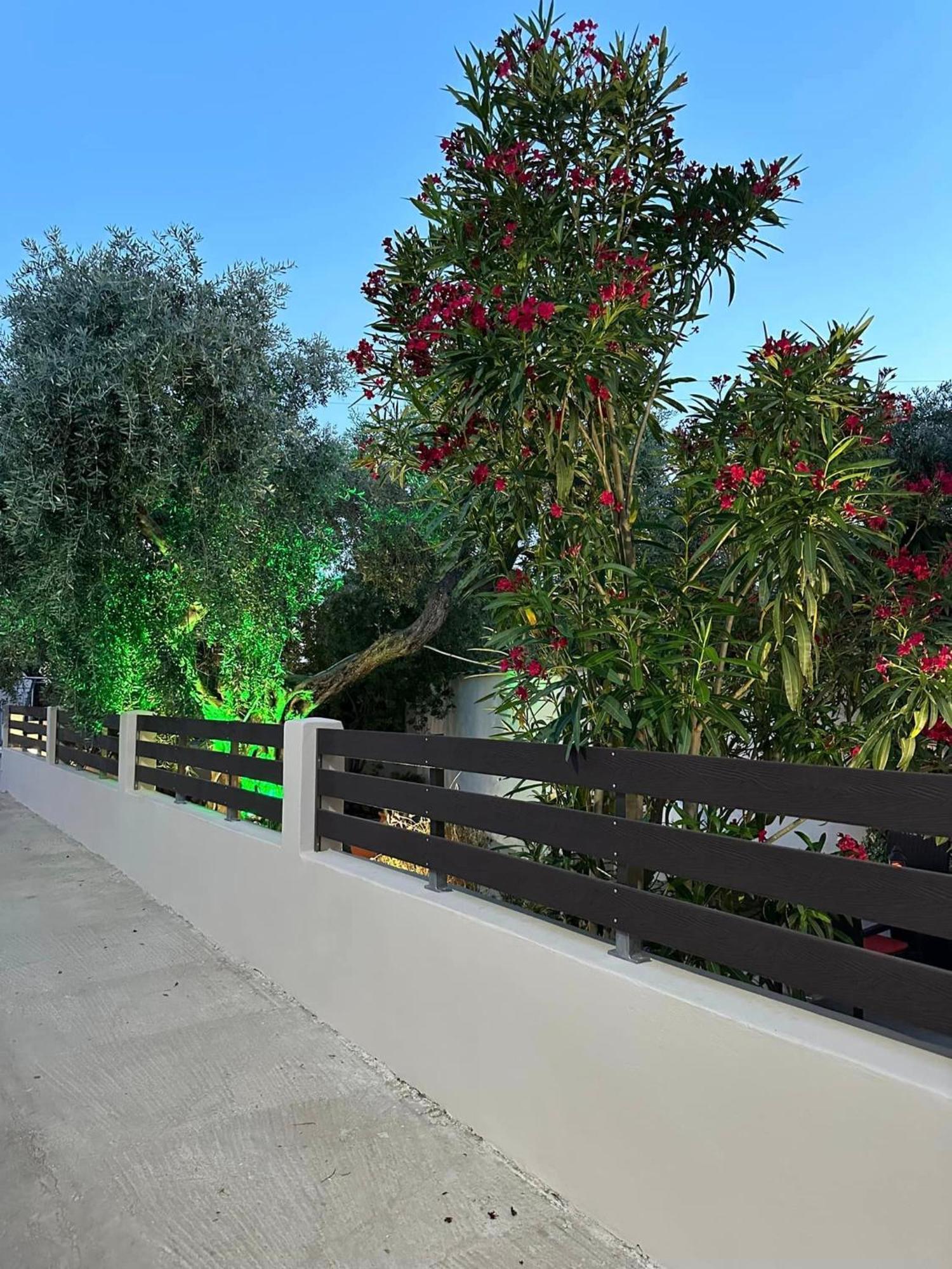 Valia House Thassos Διαμέρισμα Σκάλα Καλλιράχης Εξωτερικό φωτογραφία