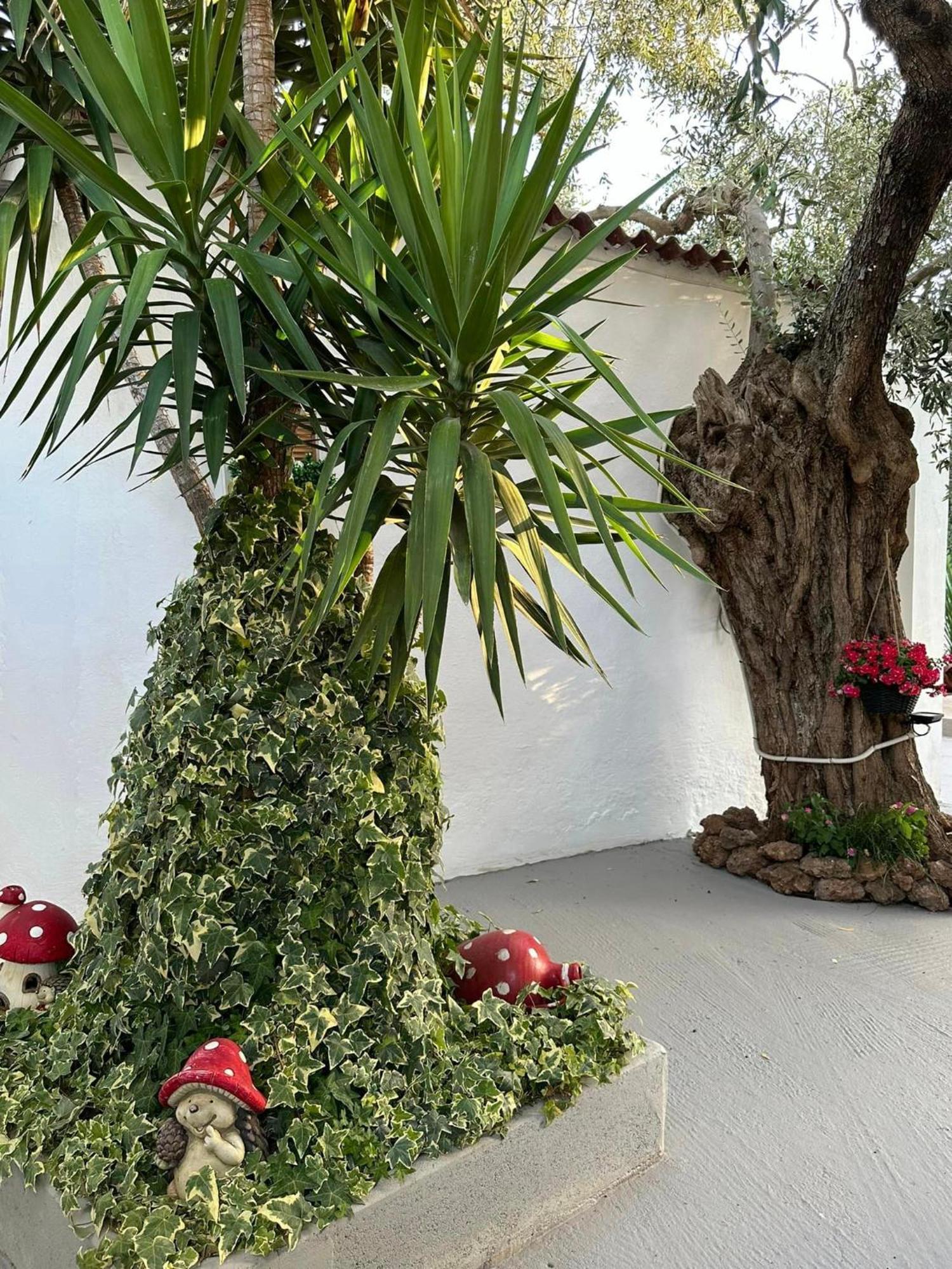 Valia House Thassos Διαμέρισμα Σκάλα Καλλιράχης Εξωτερικό φωτογραφία