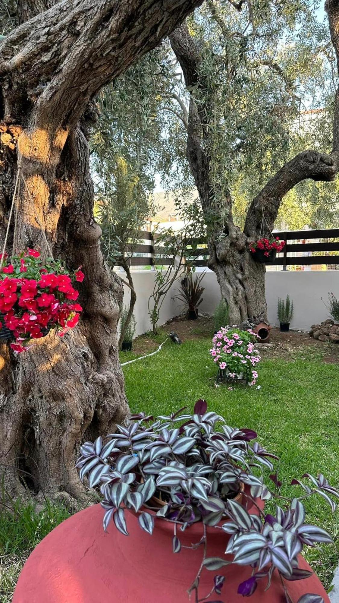 Valia House Thassos Διαμέρισμα Σκάλα Καλλιράχης Εξωτερικό φωτογραφία