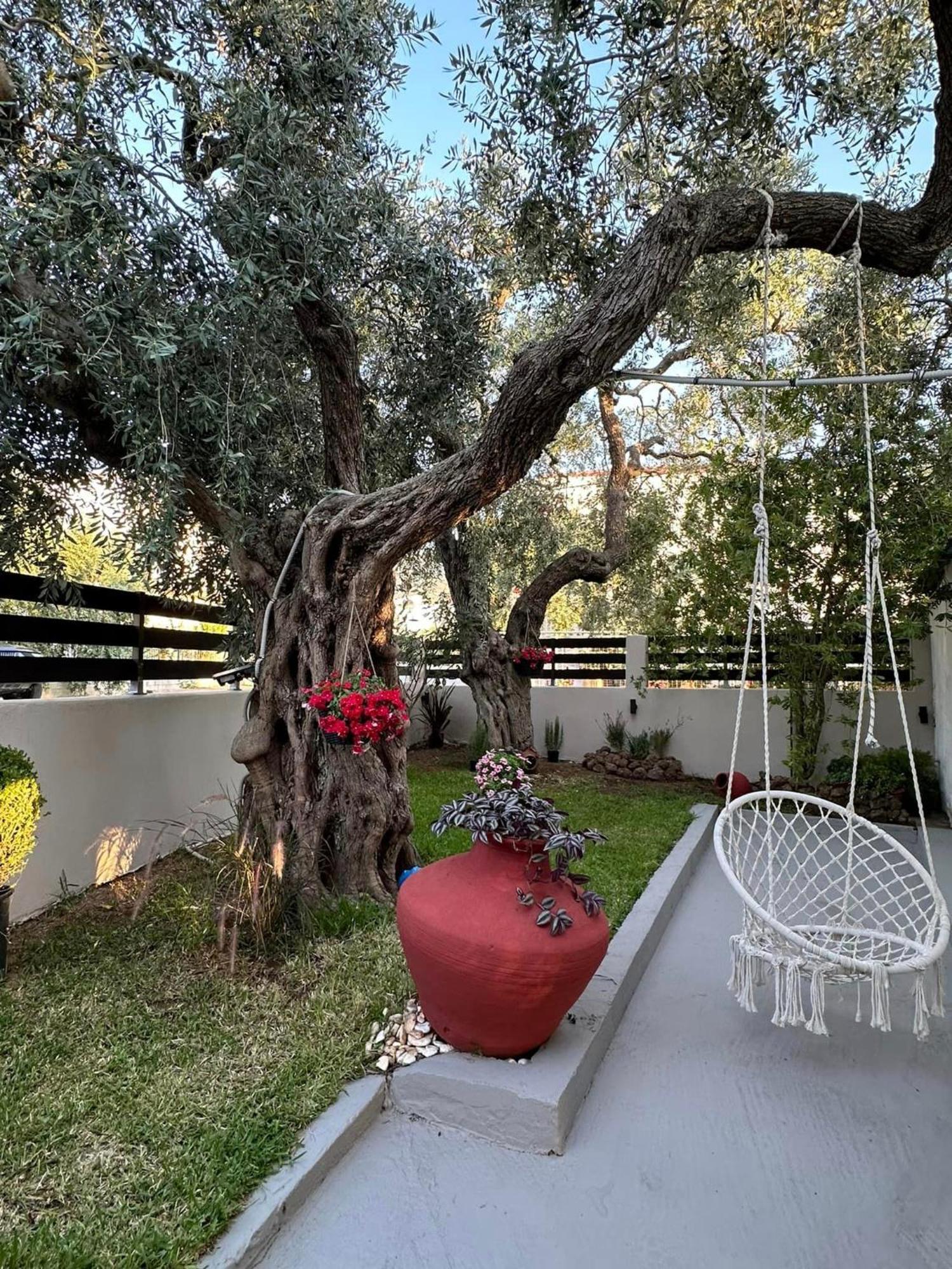 Valia House Thassos Διαμέρισμα Σκάλα Καλλιράχης Εξωτερικό φωτογραφία