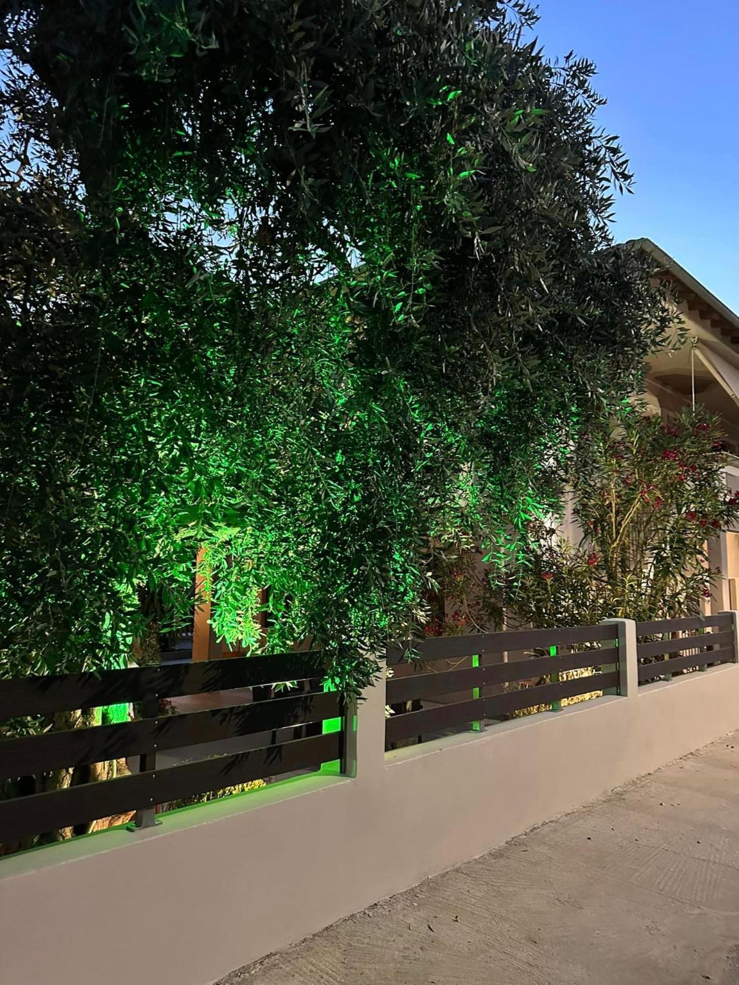 Valia House Thassos Διαμέρισμα Σκάλα Καλλιράχης Εξωτερικό φωτογραφία